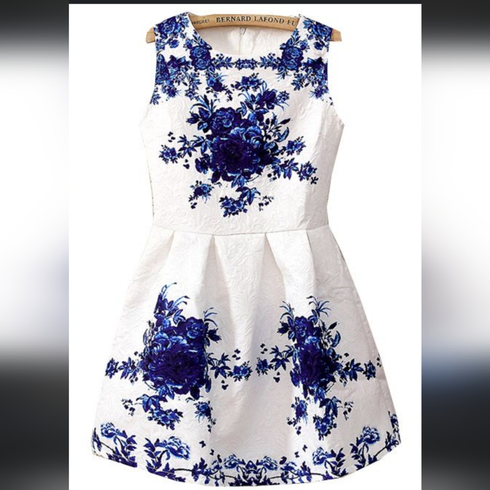 White and Blue Floral Dress